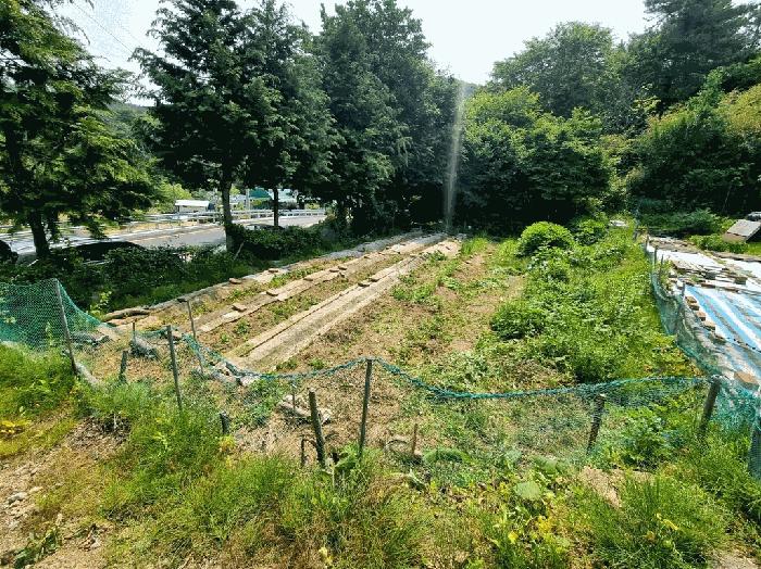 2025타경532 법원경매 사진7 | 부산 기장군 창고 경매