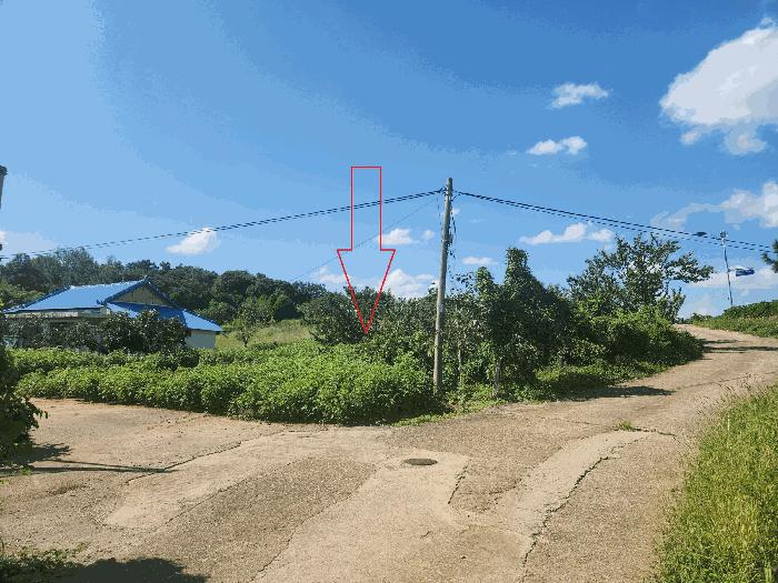 법원경매 2025타경30404 사진8 | 부안군 동진면 장등리 704-3 창고 경매