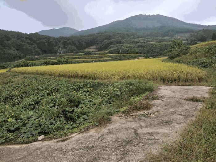 전북특별자치도 고창군 상하면 송곡리 1220 법원경매 물건 대표사진