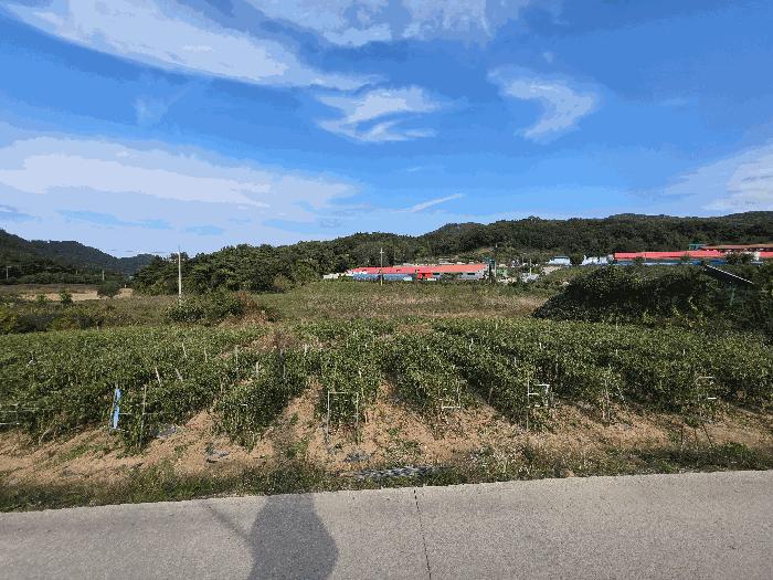 2025타경30485 법원경매 사진2 | 전북 고창군 전 경매