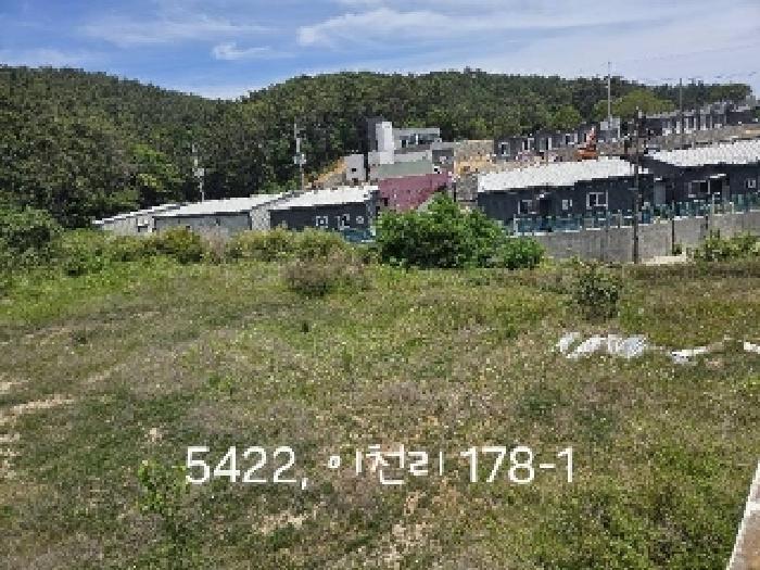 법원경매 2025타경5422 사진7 | 부산 기장군 일광읍 이천리 176-1 답 경매