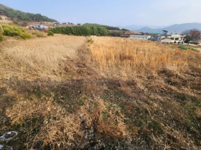 2025타경30501 법원경매 사진7 | 전북 부안군 답 경매