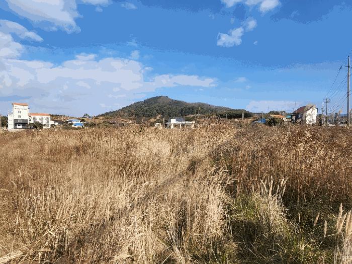 법원경매 2025타경30528 사진5 | 부안군 변산면 마포리 664-89 답 경매