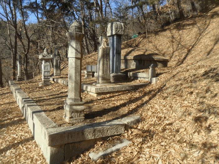 2024타경3300 법원경매 사진2 | 경남 창녕군 임야 경매