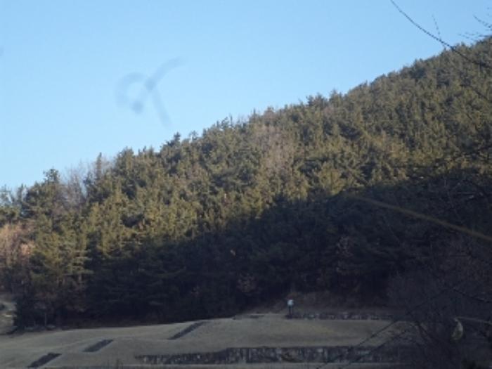 2024타경3300 법원경매 사진5 | 경남 창녕군 임야 경매