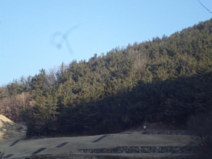 2024타경3300 법원경매 사진7 | 경남 창녕군 임야 경매