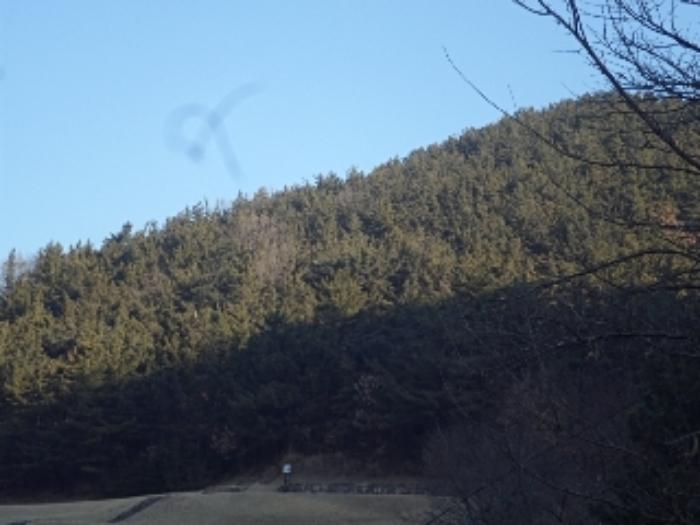 2024타경3300 법원경매 사진8 | 경남 창녕군 임야 경매
