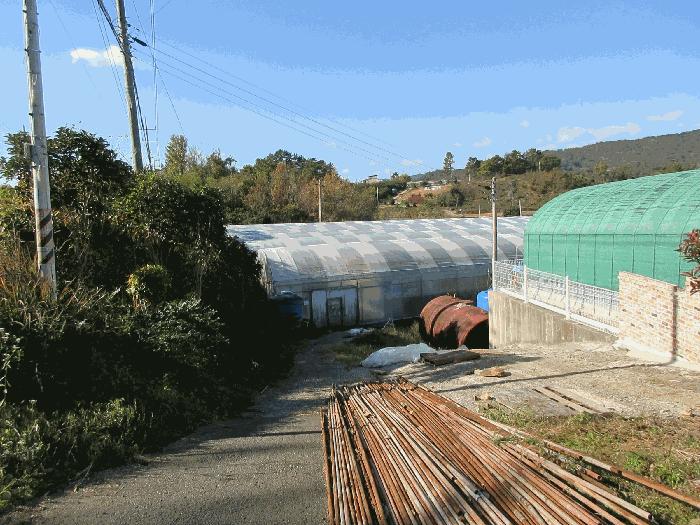 2025타경675 법원경매 사진7 | 전남 고흥군 전답 경매