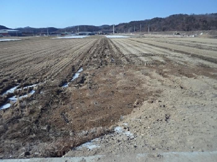 경상남도 창녕군 장마면 강리 143 법원경매 물건 대표사진
