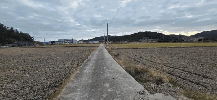 2025타경542 법원경매 사진2 | 전남 신안군 답 경매