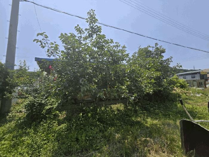전남 무안군 삼향읍 남악리 106 답 사진 5