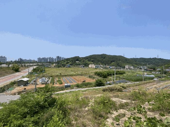 2025타경51166 법원경매 사진9 | 전남 무안군 전답 경매