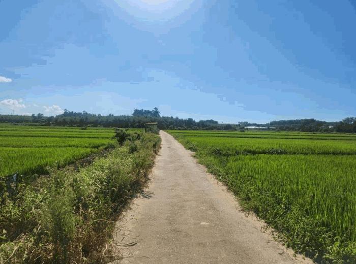 전라남도 영암군 도포면 구학리 1333-6 법원경매 물건 대표사진