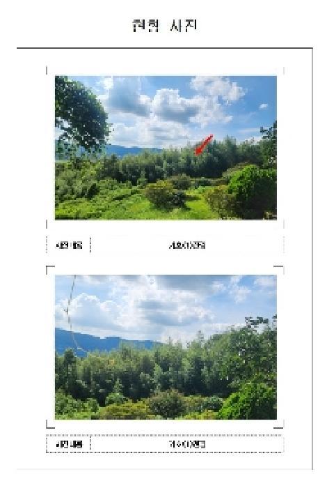 2025타경51356 법원경매 사진5 | 전남 영암군 전 경매