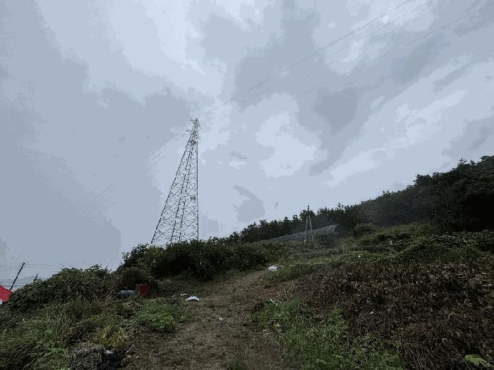 전남 신안군 증도면 병풍리 996 전 경매 물건 사진