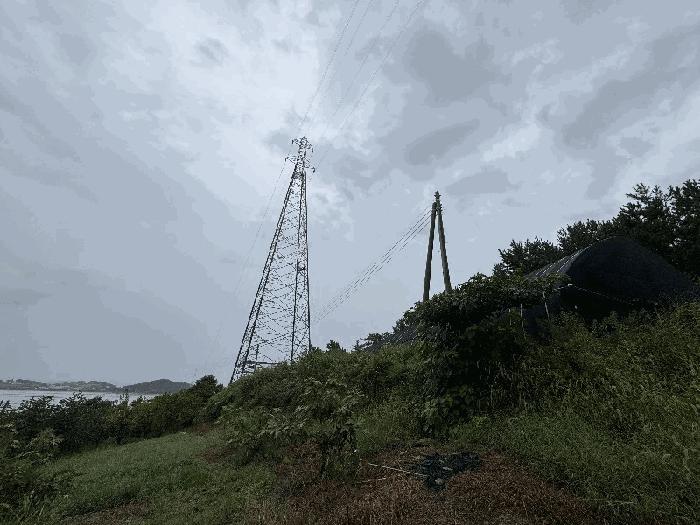 전남 신안군 증도면 병풍리 996 전 사진 5