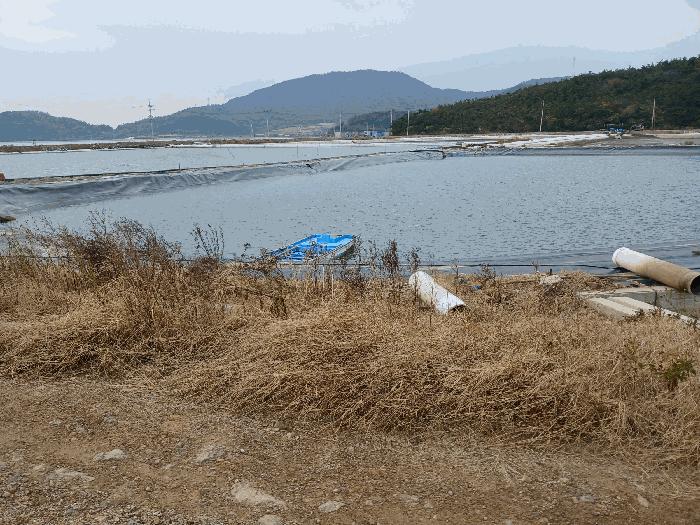 2025타경51574 법원경매 사진4 | 전남 신안군 어업권 경매