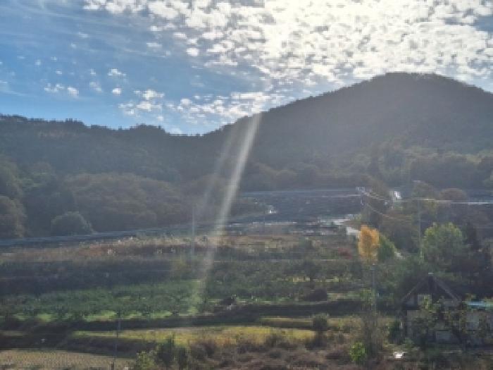 전남 순천시 승주읍 구강리 895-28 임야 사진 3
