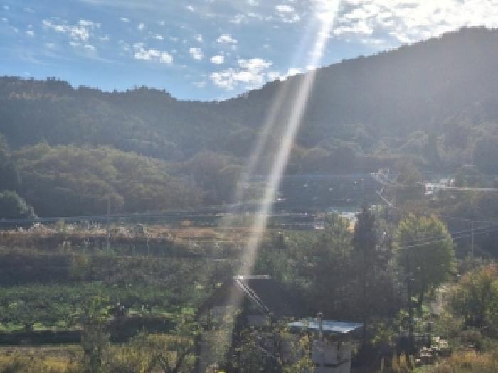 전남 순천시 승주읍 구강리 895-28 임야 사진 5