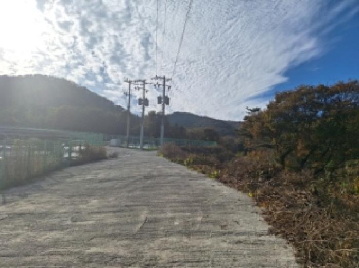 전남 순천시 승주읍 구강리 895-28 임야 사진 6