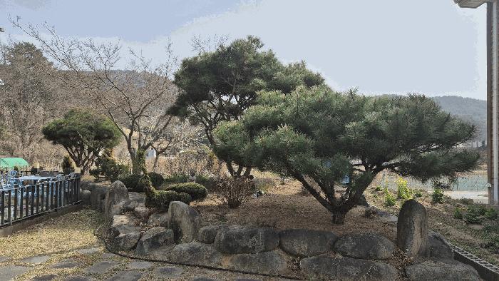 2025타경598 법원경매 사진7 | 경남 사천시 근린시설 경매