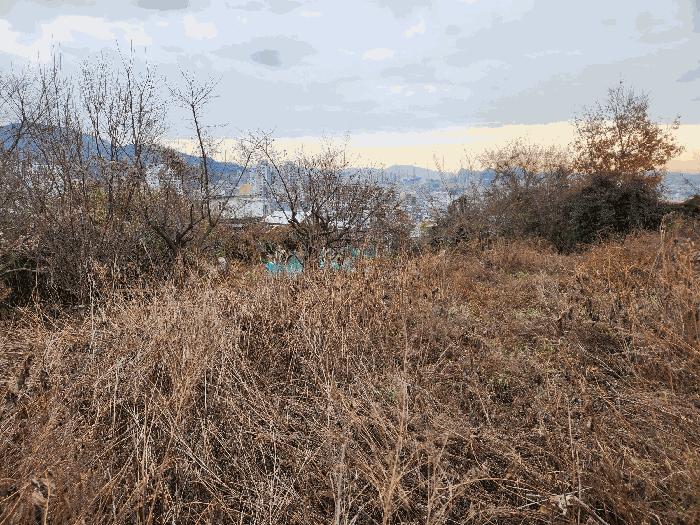 2025타경52400 법원경매 사진4 | 전남 순천시 전 경매