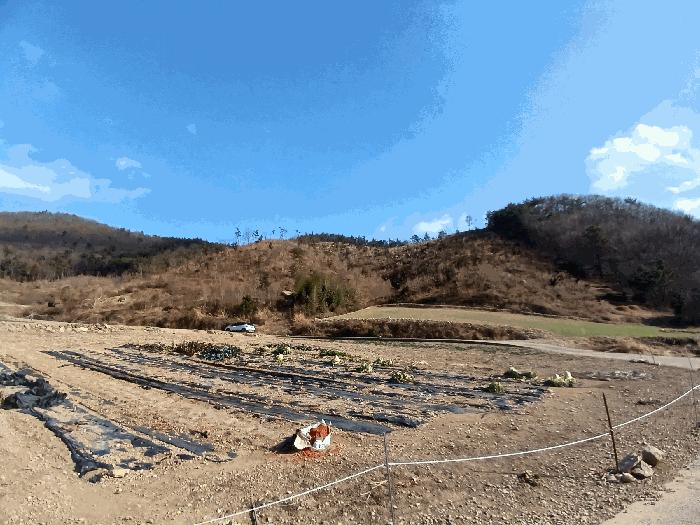 전라남도 고흥군 포두면 남성리 산38-1 법원경매 물건 대표사진