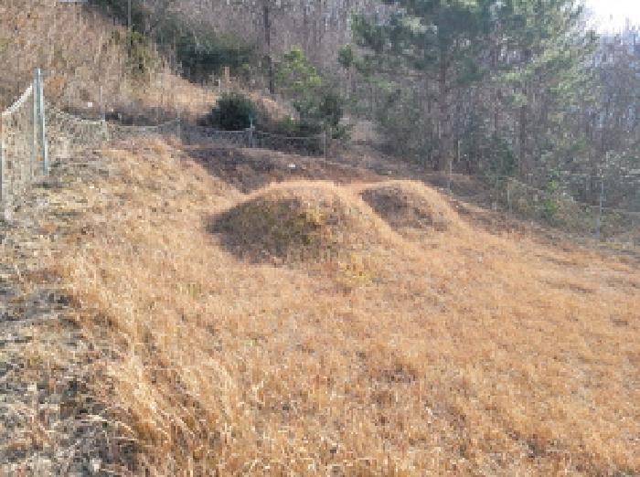 2025타경52409 법원경매 사진13 | 전남 고흥군 임야 경매