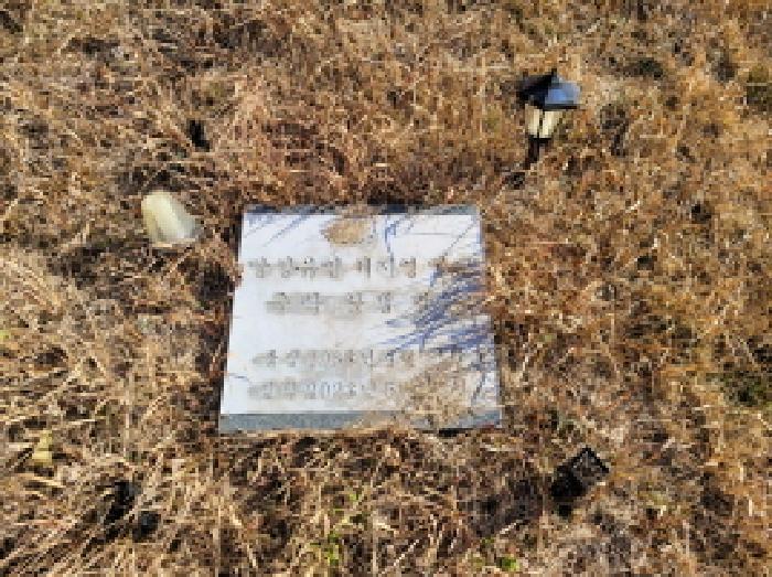 2025타경52409 법원경매 사진14 | 전남 고흥군 임야 경매
