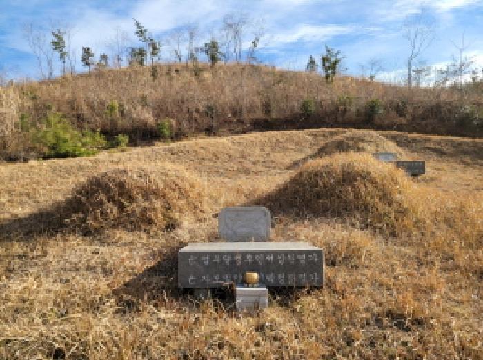 2025타경52409 법원경매 사진17 | 전남 고흥군 임야 경매
