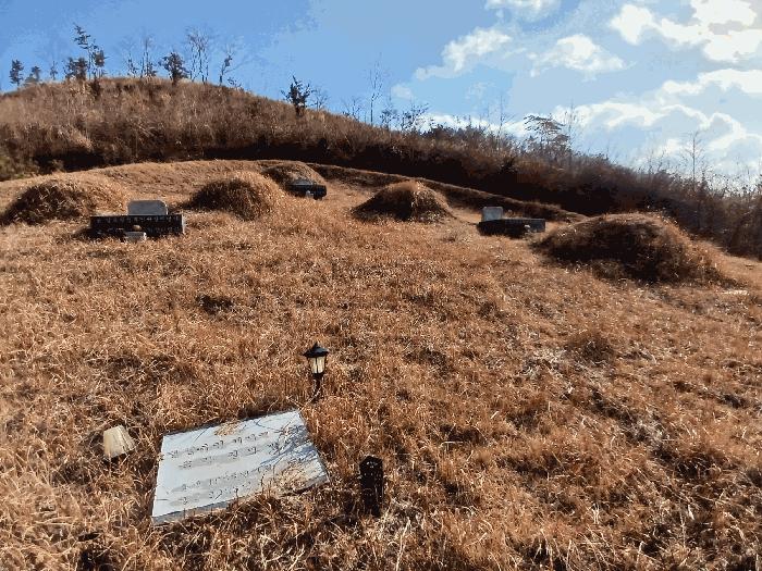 2025타경52409 법원경매 사진4 | 전남 고흥군 임야 경매