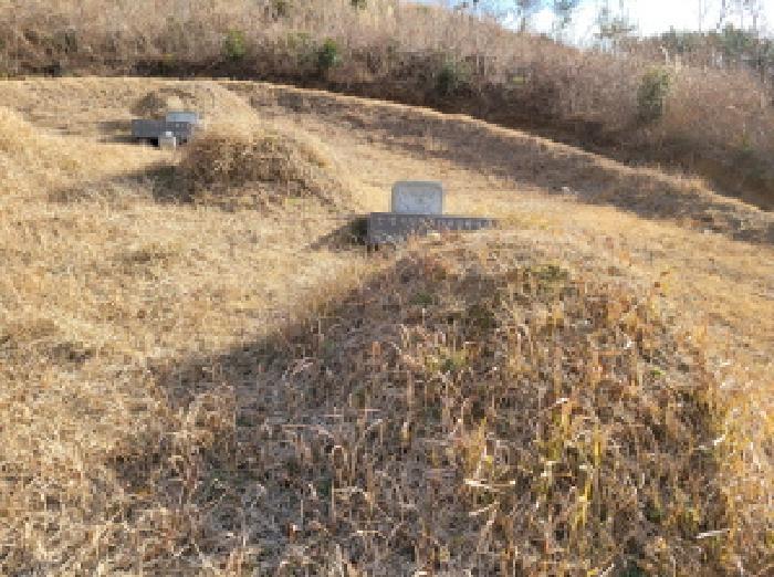 2025타경52409 법원경매 사진5 | 전남 고흥군 임야 경매
