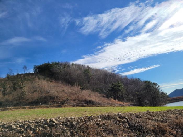2025타경52409 법원경매 사진8 | 전남 고흥군 임야 경매