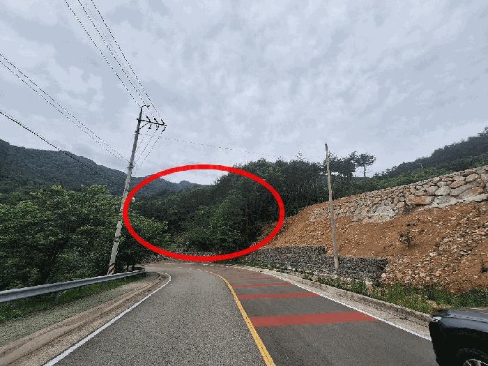 경상남도 산청군 신안면 외송리 산15-31 법원경매 물건 대표사진