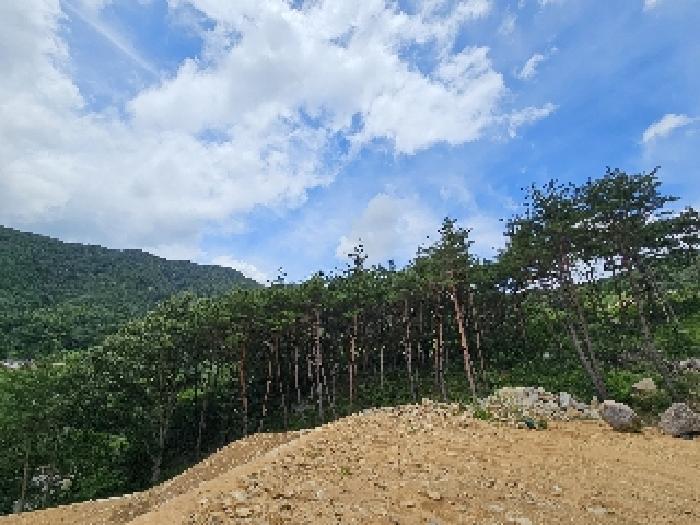2025타경699 법원경매 사진5 | 경남 산청군 임야 경매