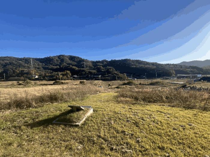 2025타경51645 법원경매 사진5 | 전남 무안군 축사(농가시설) 경매