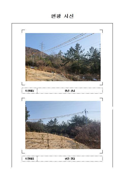 2025타경51765 법원경매 사진3 | 전남 신안군 임야 경매