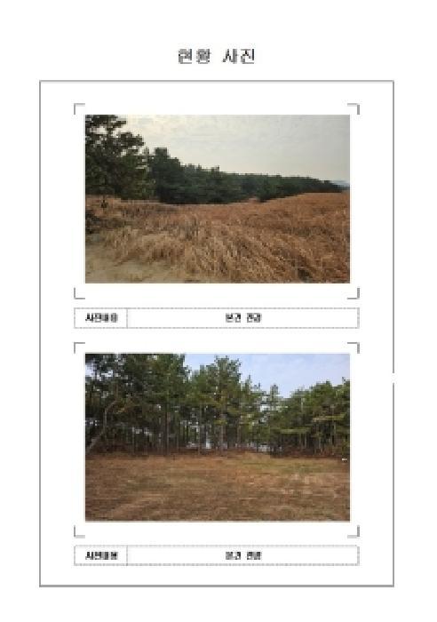2025타경51772 법원경매 사진5 | 전남 신안군 임야 경매