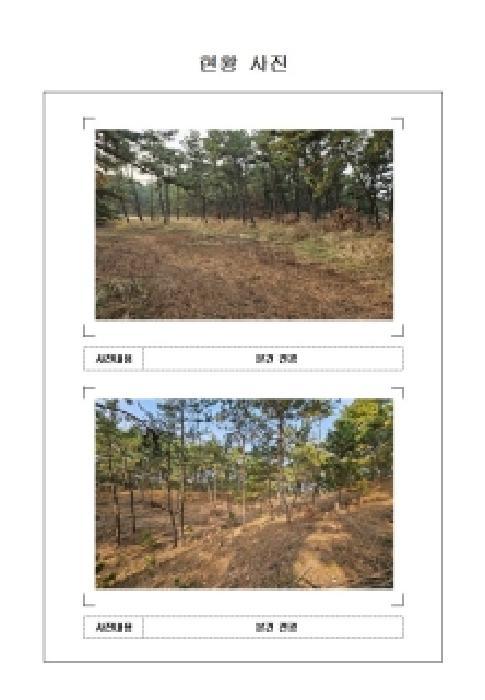 2025타경51772 법원경매 사진6 | 전남 신안군 임야 경매