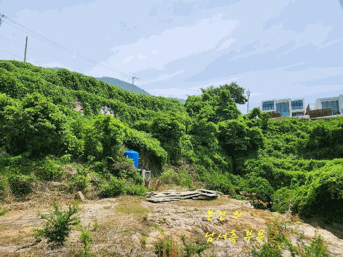 2025타경784 법원경매 사진10 | 경남 남해군 답 경매