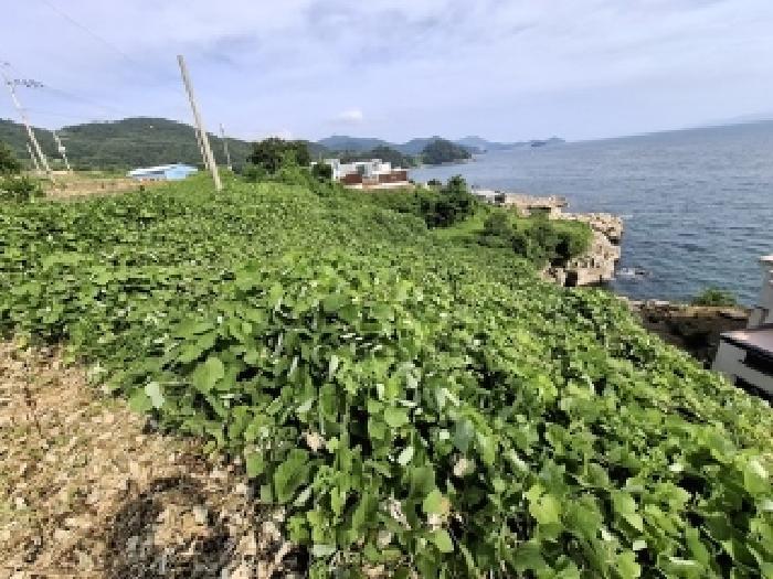 2025타경784 법원경매 사진14 | 경남 남해군 답 경매