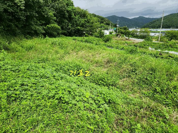 2025타경848 법원경매 사진9 | 경남 진주시 대지,임야,전답 경매