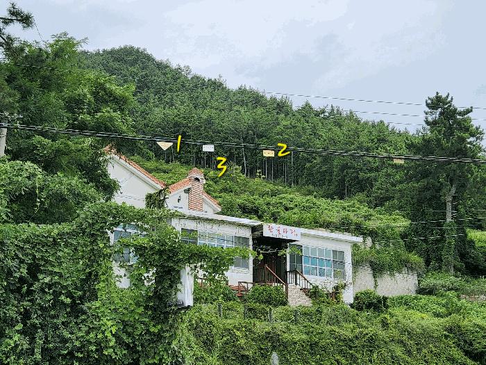 2025타경869 법원경매 사진4 | 경남 남해군 임야 경매