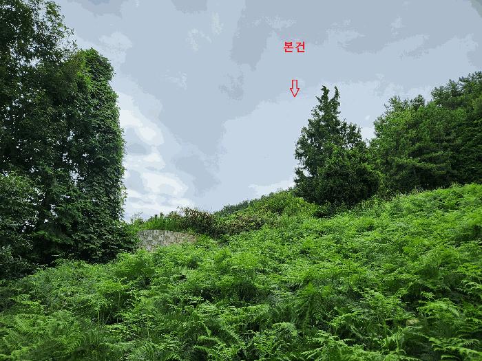 2025타경869 법원경매 사진6 | 경남 남해군 임야 경매
