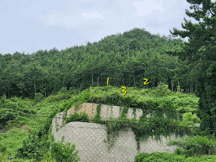 2025타경869 법원경매 사진8 | 경남 남해군 임야 경매