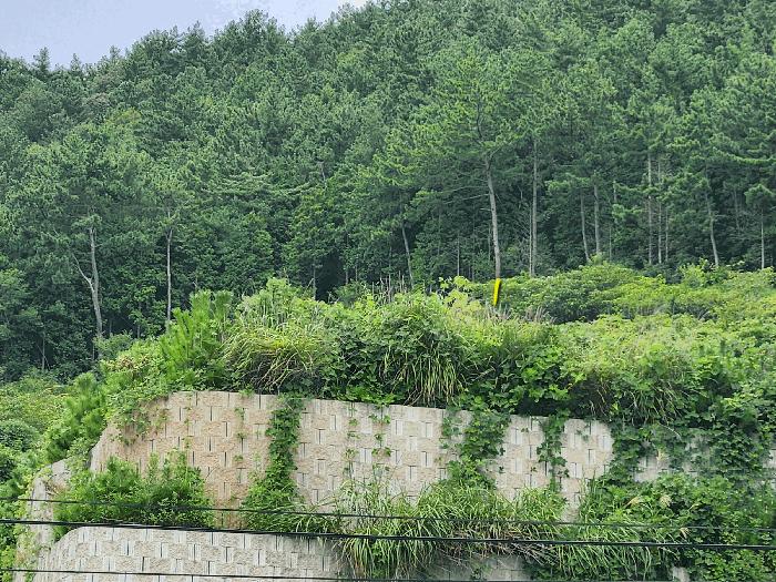 2025타경869 법원경매 사진9 | 경남 남해군 임야 경매