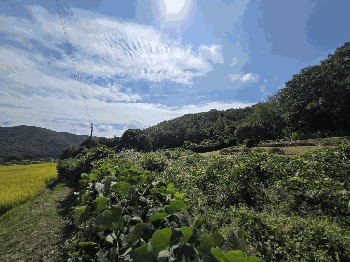 경상남도 거제시 연초면 오비리 584 법원경매 물건 대표사진