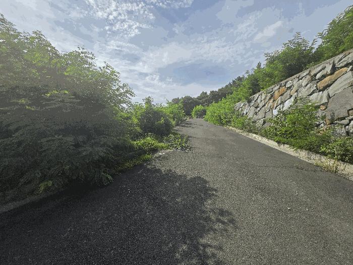2025타경31090 법원경매 사진6 | 경남 사천시 임야 경매