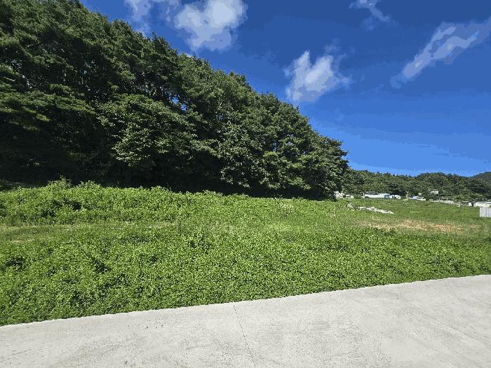 2025타경31132 법원경매 사진3 | 경남 남해군 답 경매