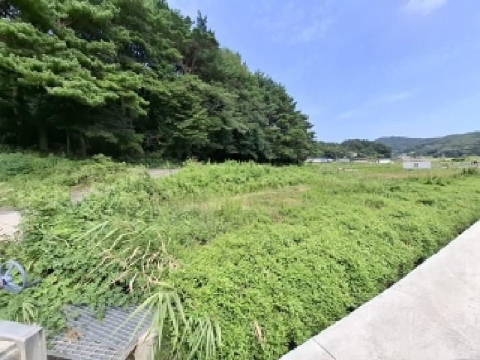 2025타경31132 법원경매 사진5 | 경남 남해군 답 경매